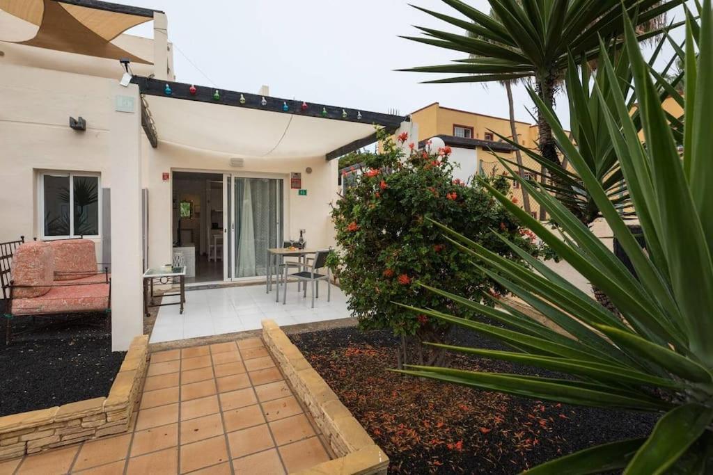 B-Rent Alisios Playa Isla Bonita Lejlighed Corralejo Eksteriør billede