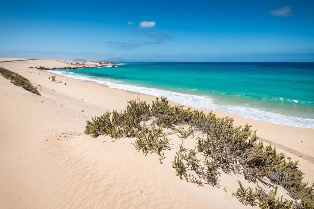 B-Rent Alisios Playa Isla Bonita Lejlighed Corralejo Eksteriør billede