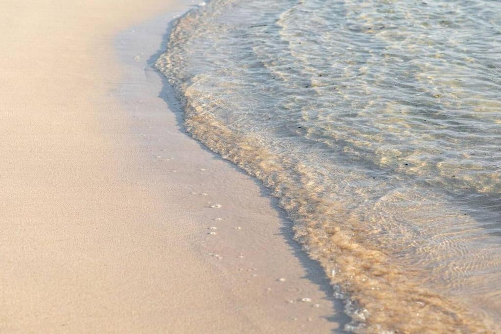 B-Rent Alisios Playa Isla Bonita Lejlighed Corralejo Eksteriør billede